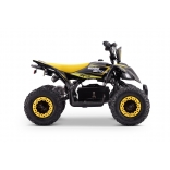 QUAD_RAPTOR_E-QD06_YELLOW 7.jpg