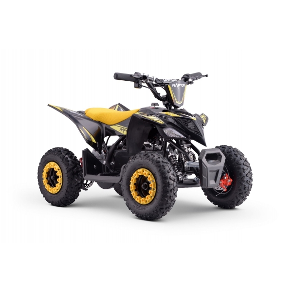 QUAD_RAPTOR_E-QD06_YELLOW 2.jpg