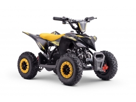 QUAD_RAPTOR_E-QD06_YELLOW 2.jpg