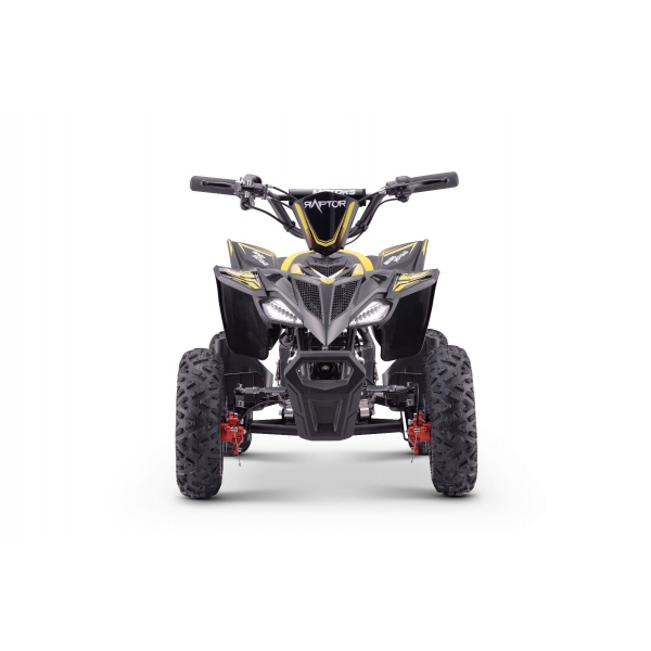 QUAD_RAPTOR_E-QD06_YELLOW 9.jpg