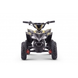 QUAD_RAPTOR_E-QD06_YELLOW 9.jpg