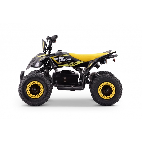 QUAD_RAPTOR_E-QD06_YELLOW 8.jpg