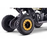 QUAD_RAPTOR_E-QD06_YELLOW 3.jpg
