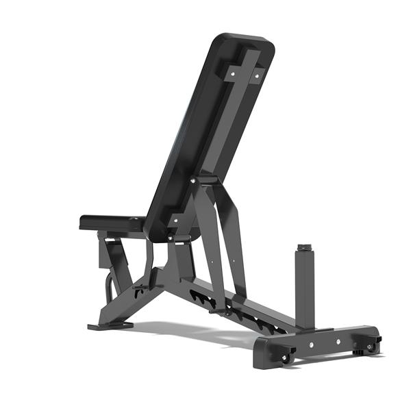 HMS Variabilní posilovací lavice HMS L1237.jpg