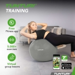 Gymnastický míč TUNTURI zesílený 75 cm Stříbrný.jpg