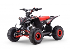 ZXY_ATV_RED_A125.jpg