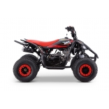 ZXY_ATV_RED_A125 8.jpg