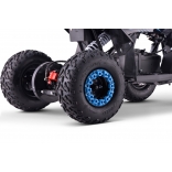 QUAD_T-REX_ZR50-1300W_BLUE 2.jpg