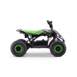 QUAD_T-REX_ZR50-1300W_GREEN 6.jpg