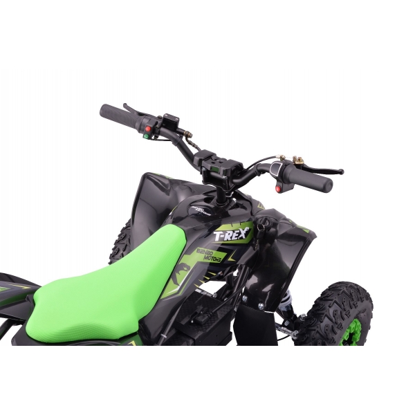 QUAD_T-REX_ZR50-1300W_GREEN 5.jpg