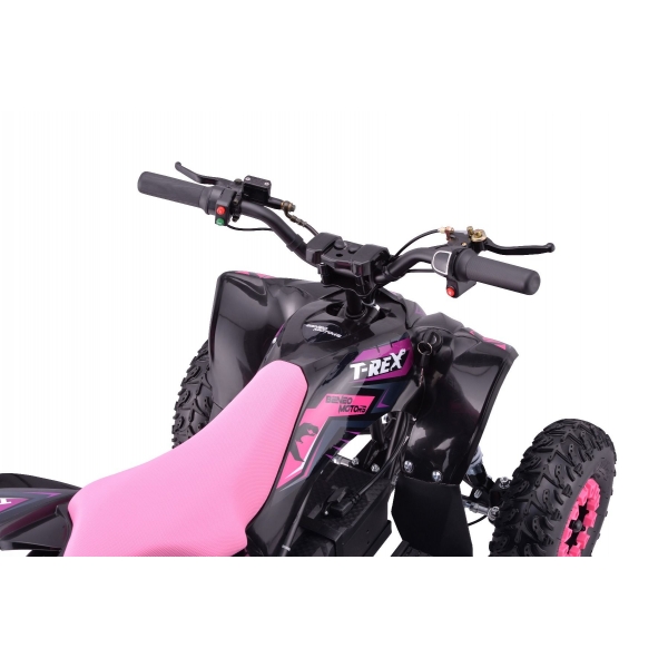 QUAD_T-REX_ZR50-1300W_PINK 4.jpg