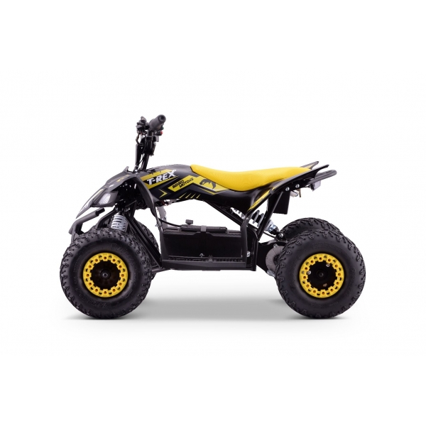QUAD_T-REX_ZR50-1300W_YELLOW 6.jpg