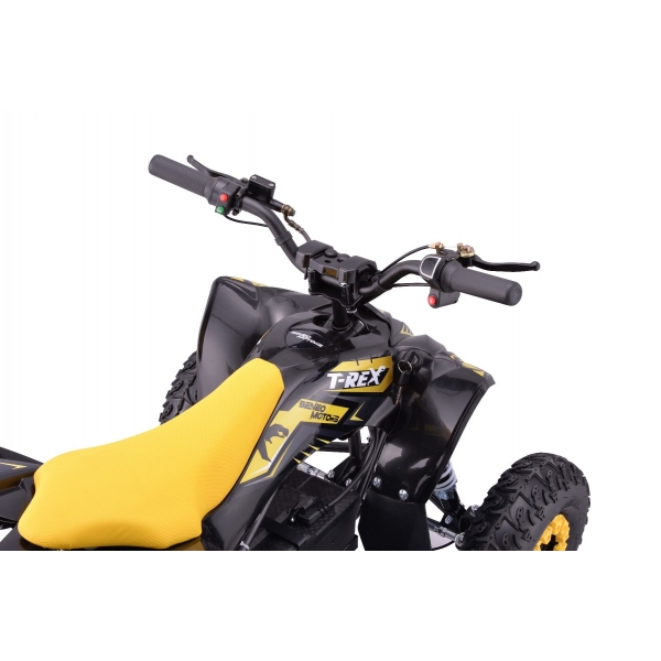 QUAD_T-REX_ZR50-1300W_YELLOW 5.jpg