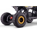 QUAD_T-REX_ZR50-1300W_YELLOW 4.jpg