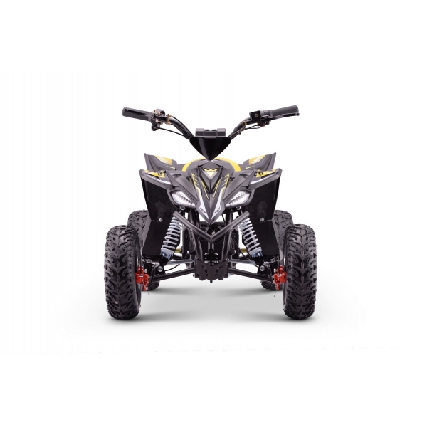 QUAD_T-REX_ZR50-1300W_YELLOW 8.jpg