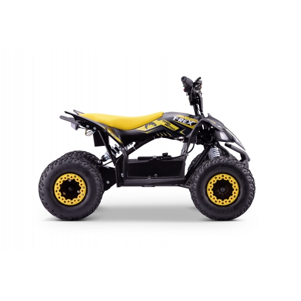 QUAD_T-REX_ZR50-1300W_YELLOW 7.jpg