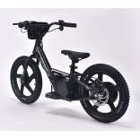RIRIBIKE_RTX6_16IN_BLACK 4.jpg