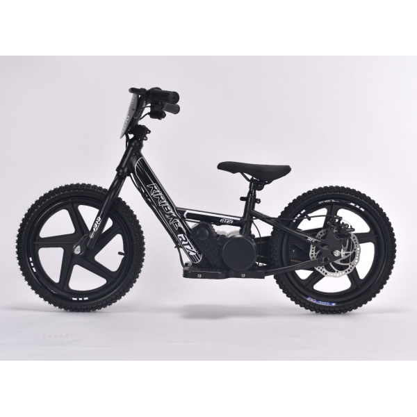 RIRIBIKE_RTX6_16IN_BLACK 2.jpg