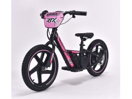 RIRIBIKE_RTX6_16IN_PINK.jpg