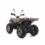 Leramotors By APOLLO RFZ 250 T3B camo_4.jpg