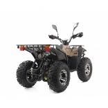 Leramotors By APOLLO RFZ 250 T3B camo_5.jpg
