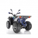 Leramotors By APOLLO RFZ 250 T3B blue_5.jpg