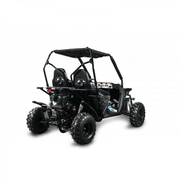 Buggy Leramotors Predator 208 Automat blue_4.jpg