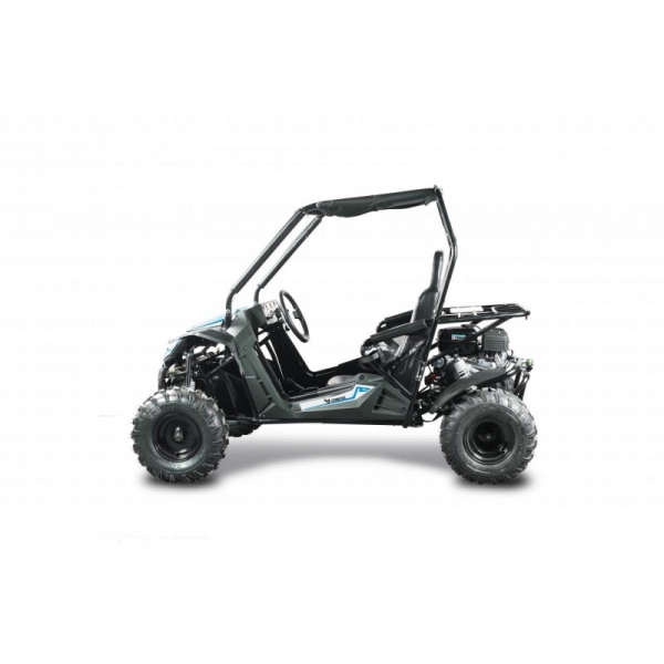 Buggy Leramotors Predator 208 Automat blue_7.jpg
