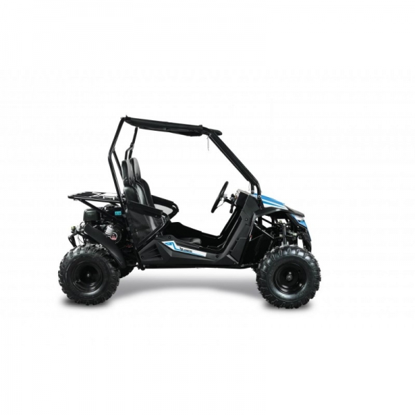 Buggy Leramotors Predator 208 Automat blue_6.jpg