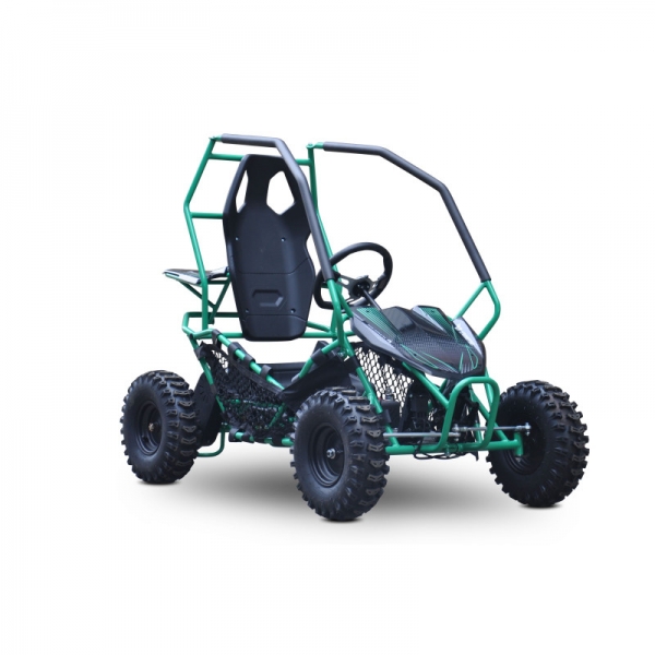 Buggy Leramotors Razor II Deluxe 1000W green_2.jpg