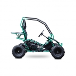 Buggy Leramotors Razor II Deluxe 1000W green_5.jpg
