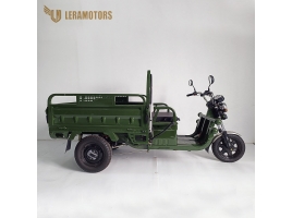 Leramotors Cargo G1 1000W COC green_2.jpg