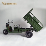 Leramotors Cargo G1 1000W COC green_3.jpg
