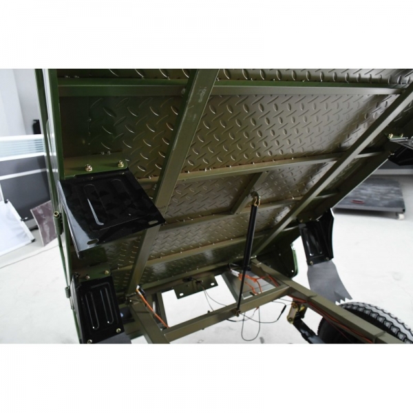 Leramotors Cargo G5 2000W COC green_17.jpg
