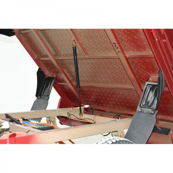 Leramotors Cargo G5 2000W COC red_13.jpg
