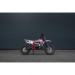 Pitbike Spirit 90 12.10 Automat red_3.jpg