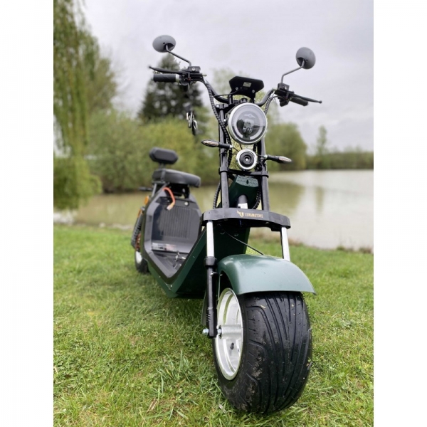 Lera Scooters C2 2000W green_3.jpg