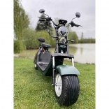 Lera Scooters C2 2000W green_3.jpg