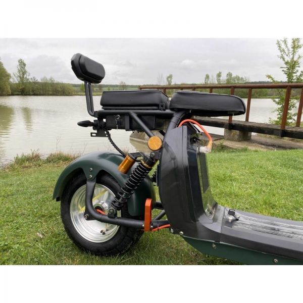 Lera Scooters C2 2000W green_6.jpg