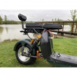 Lera Scooters C2 2000W green_6.jpg