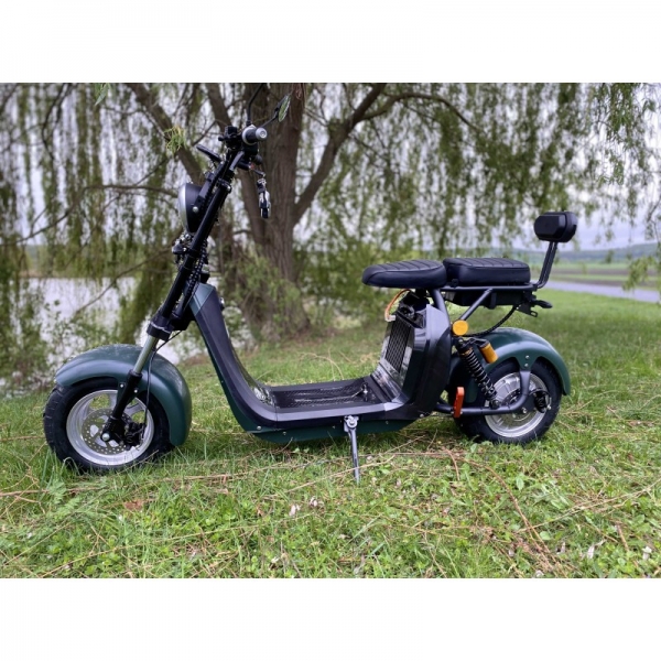 Lera Scooters C2 2000W green_9.jpg