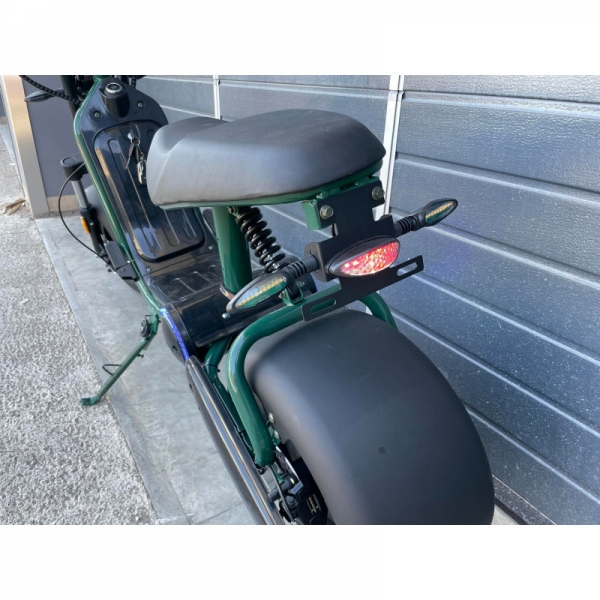 Lera Scooters C6 2000W green_5.jpg