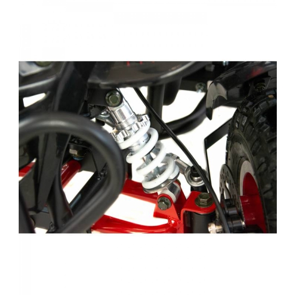 XTR Repti Nitro 49cc 2T XVI.jpg