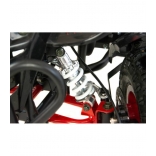 XTR Repti Nitro 49cc 2T XVI.jpg