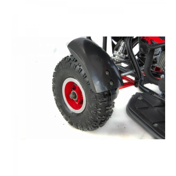 XTR Repti Nitro 49cc 2T XXII.jpg