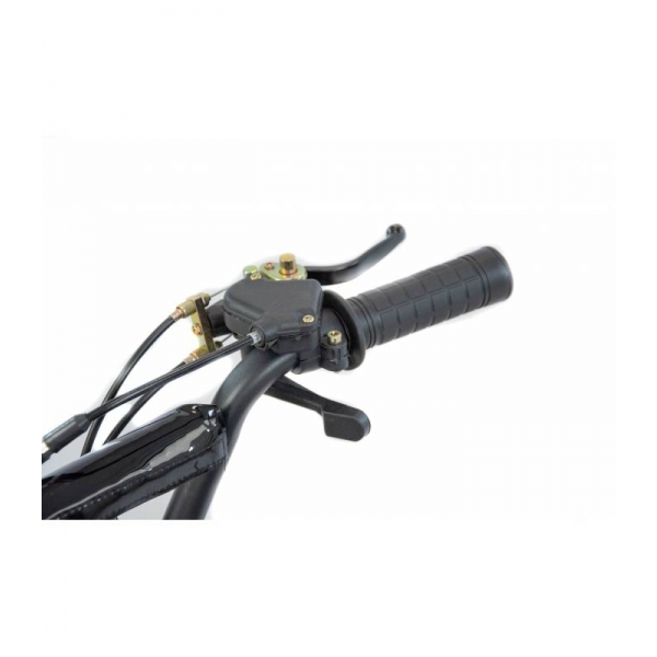 XTR Repti Nitro 49cc 2T XXIV.jpg
