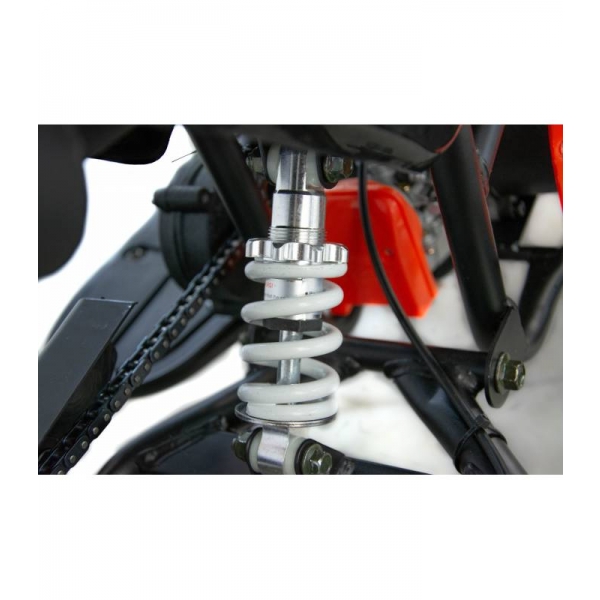 XTR Repti Nitro 49cc 2T XXXI.jpg