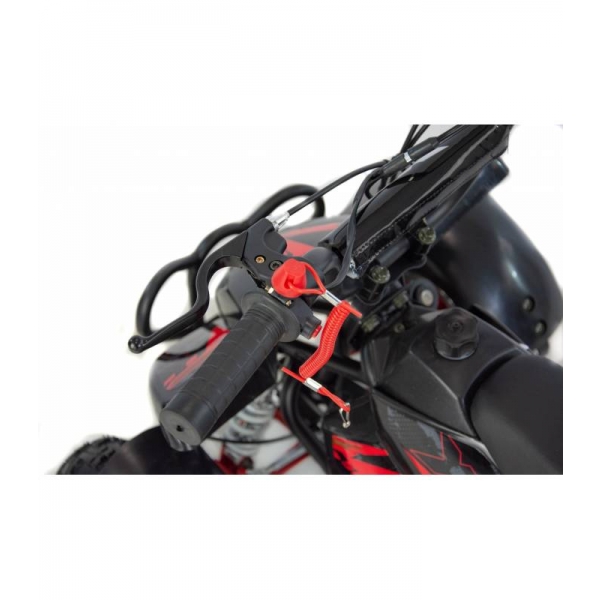 XTR Repti Nitro 49cc 2T XXXIV.jpg