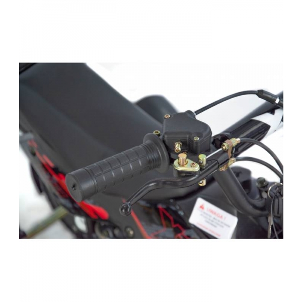 XTR Repti Nitro 49cc 2T XIV.jpg