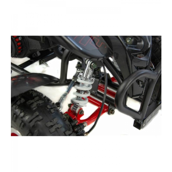 XTR Repti Nitro 49cc 2T XXIX.jpg